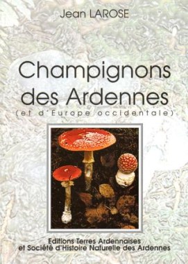 champignons.jpg